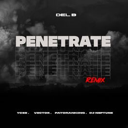 Album cover of Penetrate (Remix)