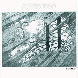 Album cover of Invisible