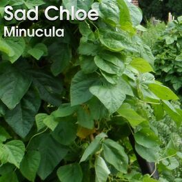 Album cover of Minucula