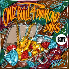 Album cover of ONLY BUILT 4 DIAMOND LINKS