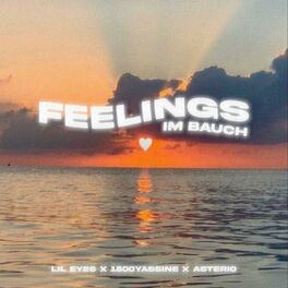 Album cover of feelings im bauch