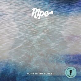 Album cover of Noise in the Forest (Acoustic)
