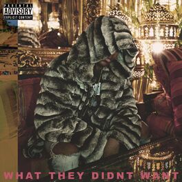 Album cover of What They Didnt Want