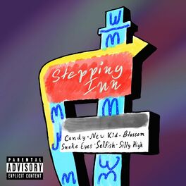 Album cover of Stepping Inn