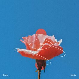 Album cover of rosebath