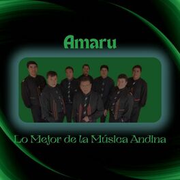 Album cover of Lo Mejor de la Música Andina