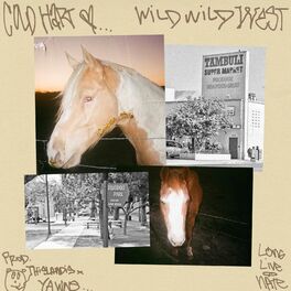 Album cover of Wild Wild West