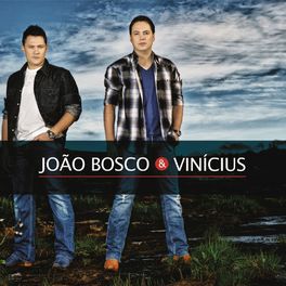 Album cover of João Bosco e Vinícius