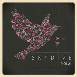 Album cover of Skydive, Vol. 06