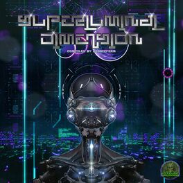 Album cover of Superluminal Dimension