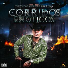 Album cover of Corridos Exóticos