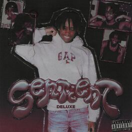 Album cover of Sentient (Deluxe)