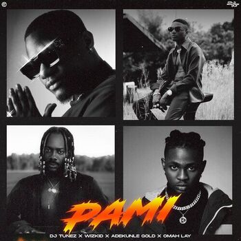 PAMI cover