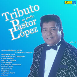Album cover of Tributo al Indio Pastor López, Vol. 3