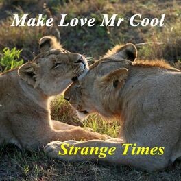 Album cover of Make Love Mr Cool