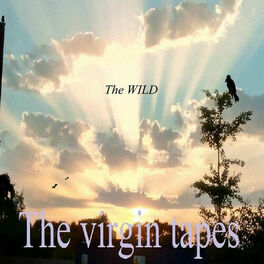 Album cover of The Virgin Tapes