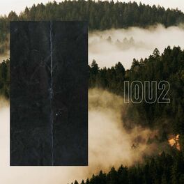 Album cover of I O U 2