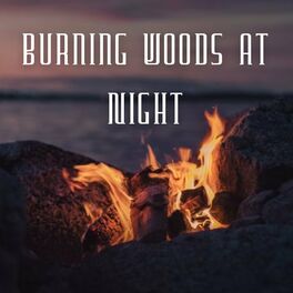Album cover of Burning Woods at Night
