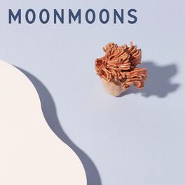 Album cover of moonmoons