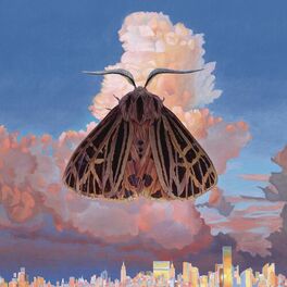 Album cover of Moth