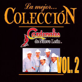 Album cover of La Mejor Colección (Vol. 2)