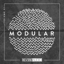 Album cover of Modular, Vol. 31