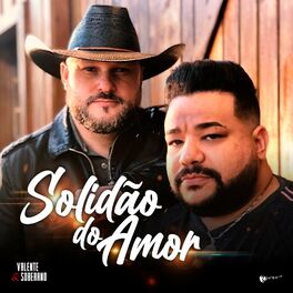 Album cover of Solidão do Amor