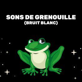 Album cover of Sons De Grenouille (Bruit Blanc)