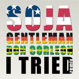 Album cover of I Tried (Don Corleon Remix)