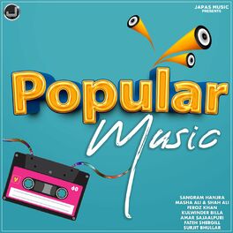 Album cover of Popular Music