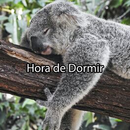 Album cover of Hora de Dormir (zzz)