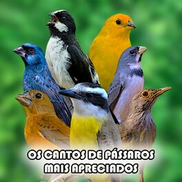 Album cover of Os Cantos de Pássaros Mais Apreciados