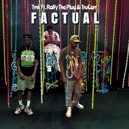Album cover of Factual (feat. Ralfy the Plug & TruCarr)