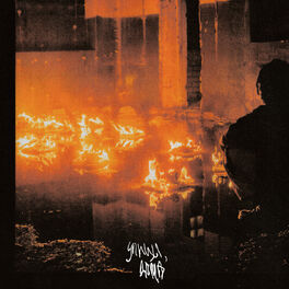 Album cover of ULITSY, DOMA