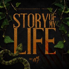 Album cover of Story of My Life (Radio Edit)