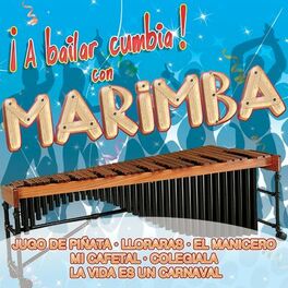 Album cover of ¡A Bailar Cumbia! con Marimba