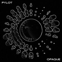 Album cover of Opaque