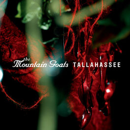 Album cover of Tallahassee