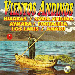 Album cover of Vientos Andinos