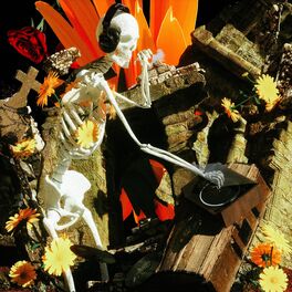 Album cover of Flowers Bloom In A Dark Room