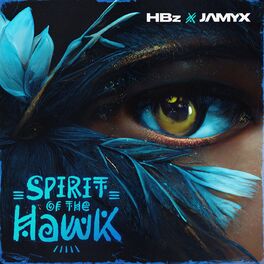 Album cover of Spirit Of The Hawk