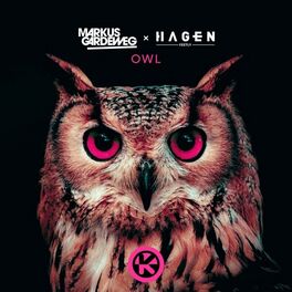 Album cover of Owl