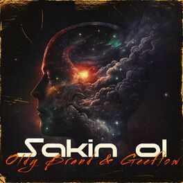 Album cover of Sakin ol