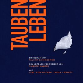 Album cover of Taubenleben Soundtrack