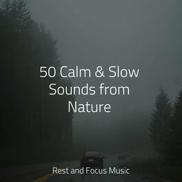 Album cover of 50 Calm & Slow Sounds from Nature