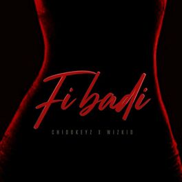 Album cover of Fibadi