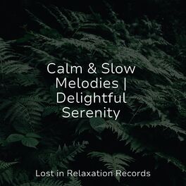Album cover of Calm & Slow Melodies | Delightful Serenity