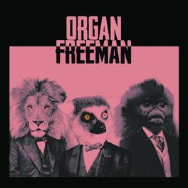 Album cover of Organ Freeman