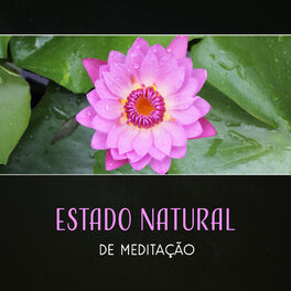 Album cover of Estado Natural de Meditação - Medite e Relaxe em Atmosfera de Sons da Natureza, Obter Energia dos Mantras de Cura