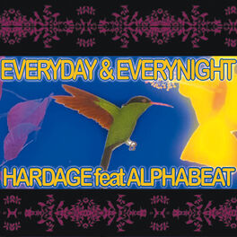 Album cover of Everyday and Everynight